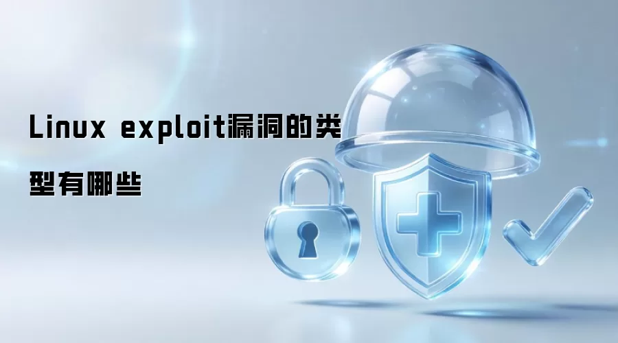 Linux exploit漏洞的类型包括哪些