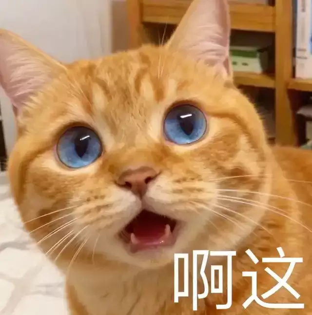 机器人为啥困在Demo？讯飞新公司爻方智能点出病因：缺一味「本体认知」