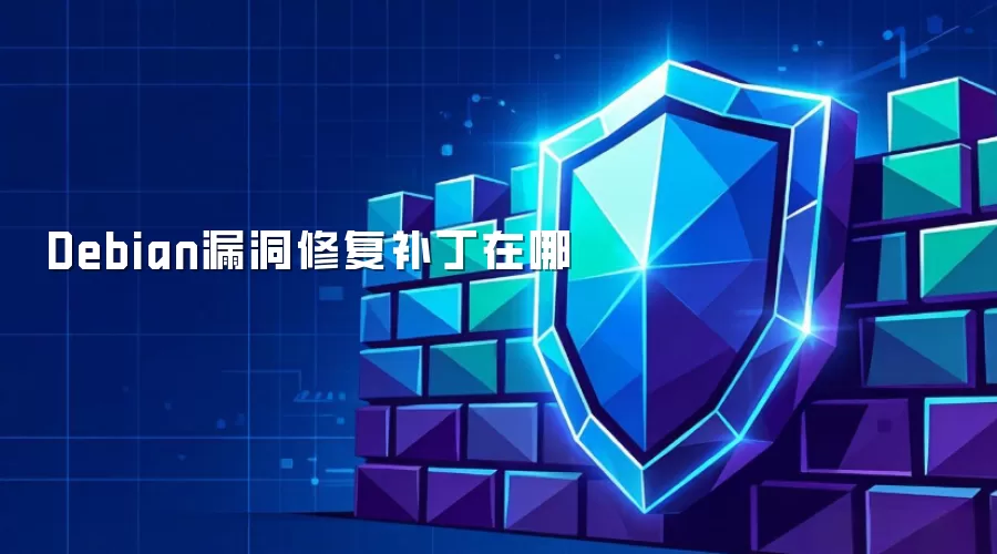 Debian漏洞修复补丁在哪儿