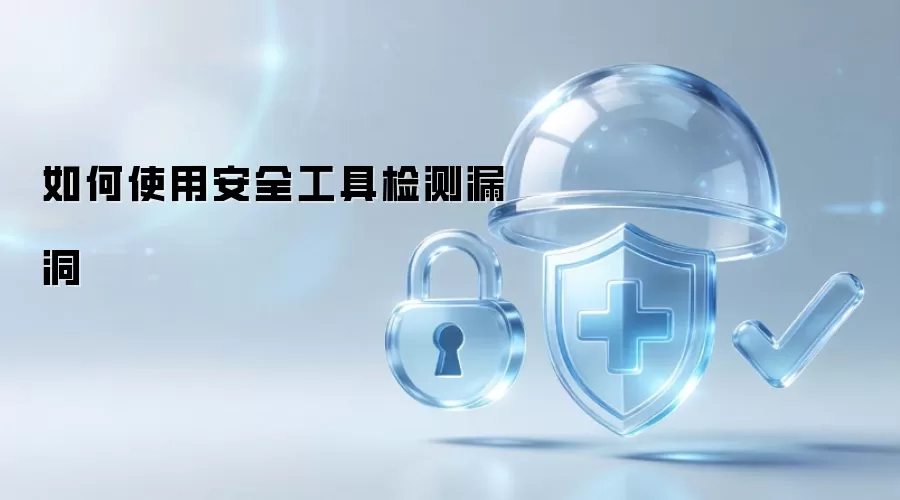 安全工具检测漏洞用法