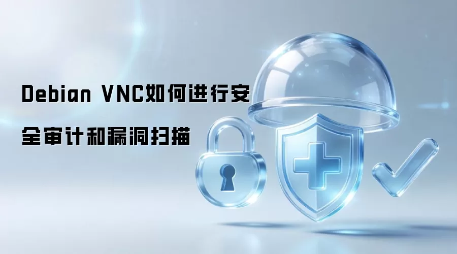 Debian VNC怎样进行安全审计和漏洞扫描