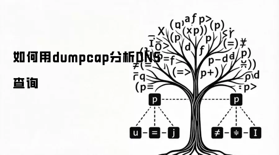 如何用dumpcap解读DNS查询