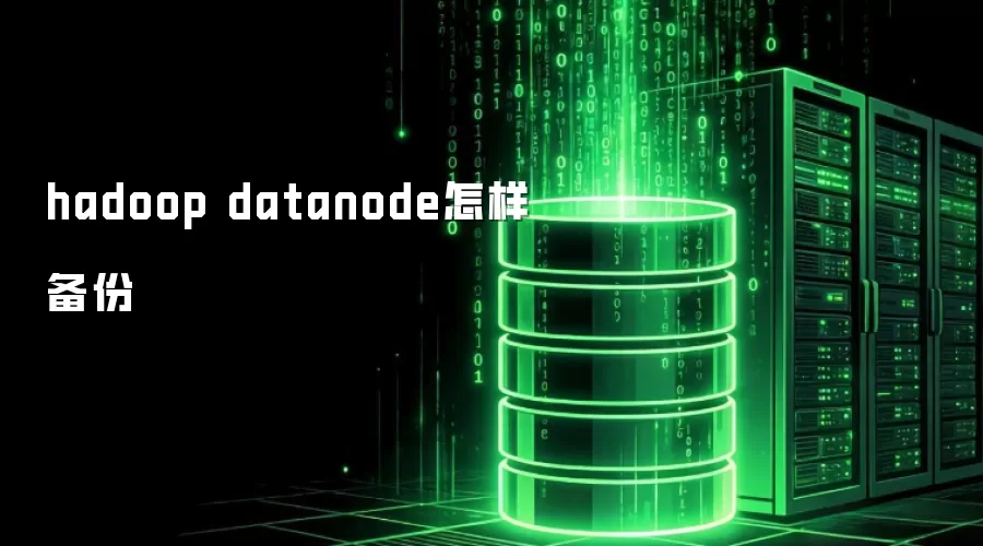 hadoop datanode如何备份