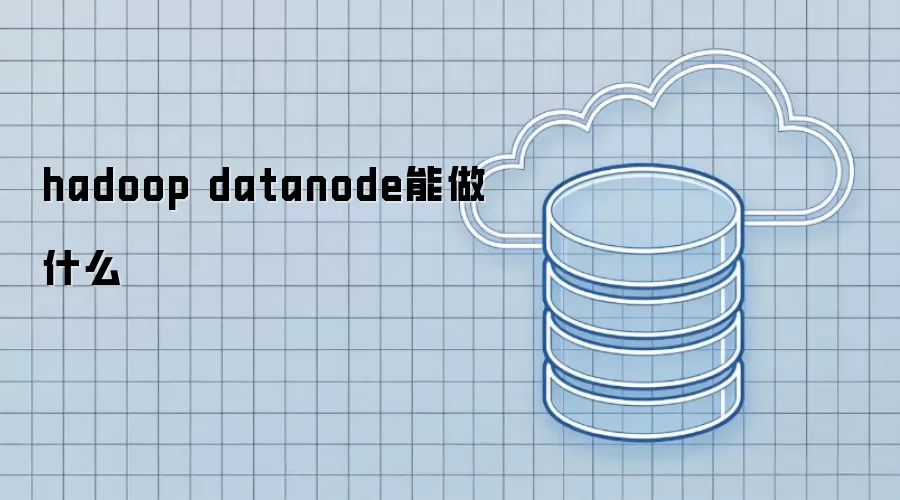 hadoop datanode能做什么呢