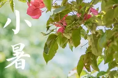 小暑期间哪类天气现象最常见