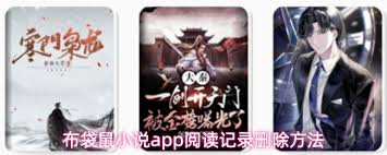 布袋鼠小说app如何查看完结小说