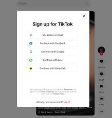 TikTok账号资料无法修改怎么处理
