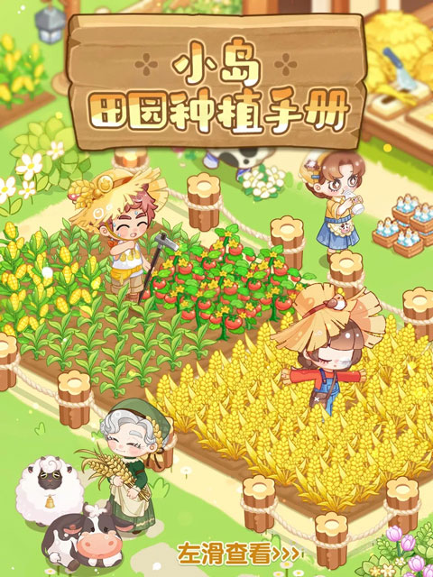 最终的梦幻岛