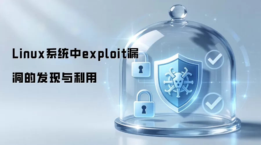 Linux系统中exploit漏洞的发现与利用