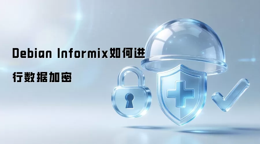 Debian Informix如何进行数据加密