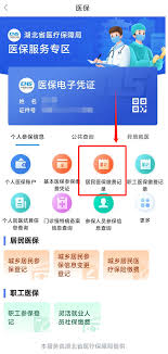 鄂汇办app门诊报销位置在哪