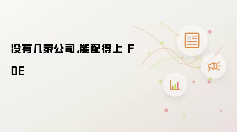 没有几家公司，能配得上 FDE