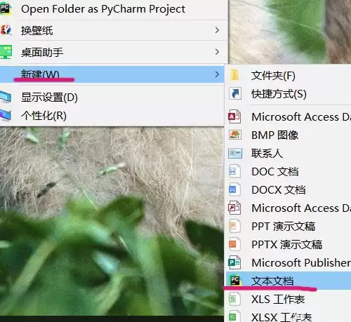 txt数据如何导入Excel表格进行数据分析