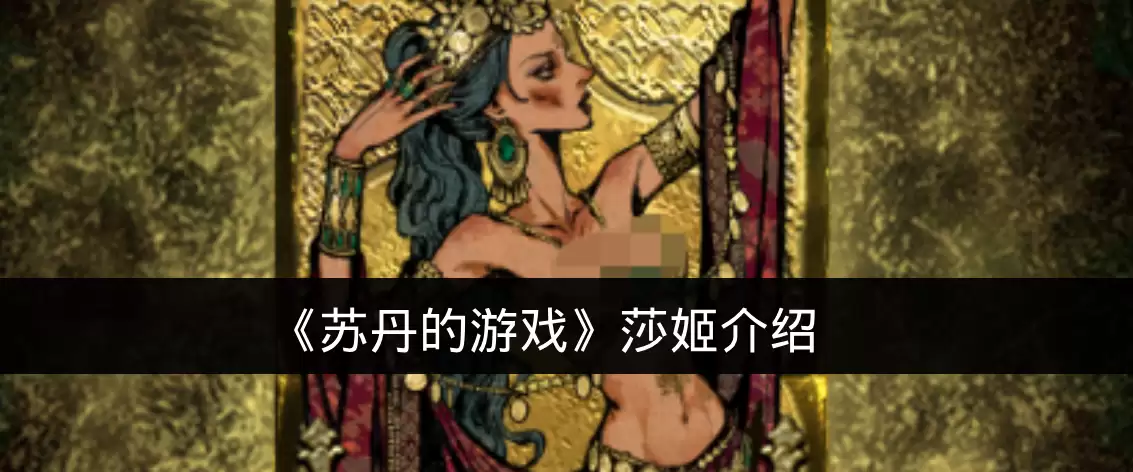 《苏丹的游戏》莎姬说明