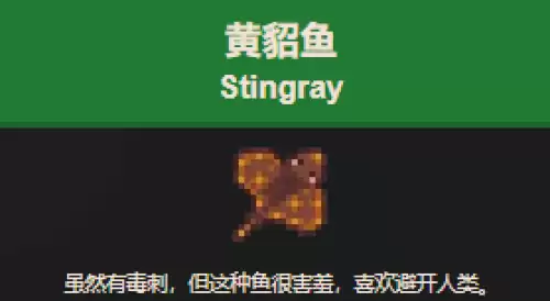 星露谷物语黄貂鱼如何钓