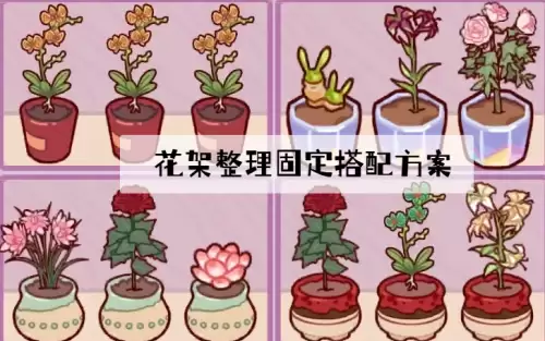 我的休闲时光花架整理固定搭配方案