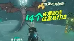 山海旅人224只鸟如何全收集