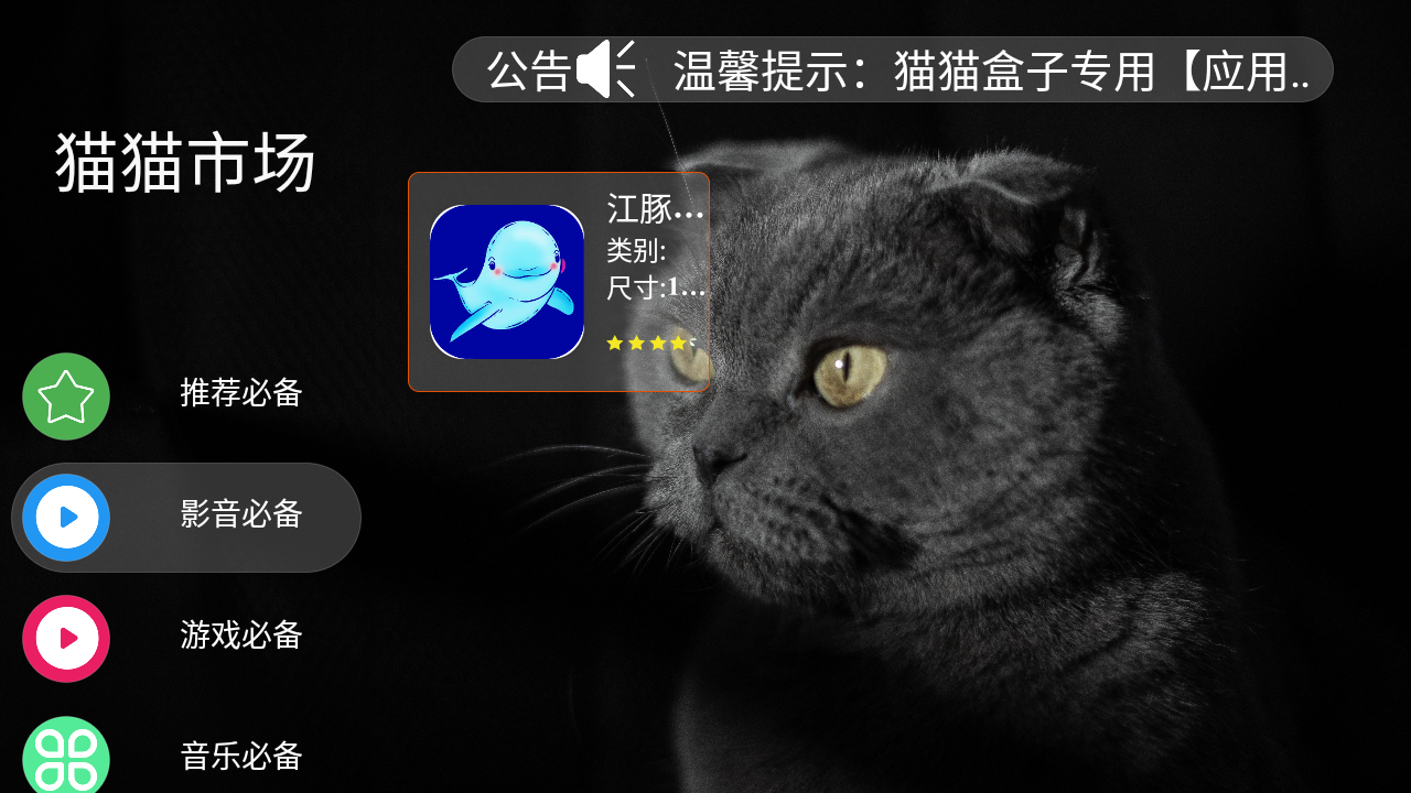 猫猫市场