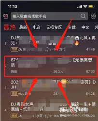 为什么DJ多多听不了歌