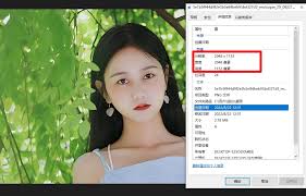 适合初学者的AI部署工具是什么