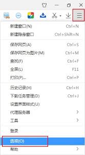 如何在360极速浏览器中查看缓存文件