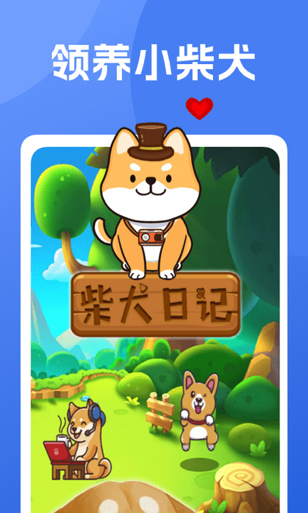 柴犬日记 1