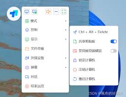 todesk无法粘贴复制怎么办