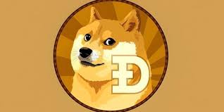 doge币app如何进行交易