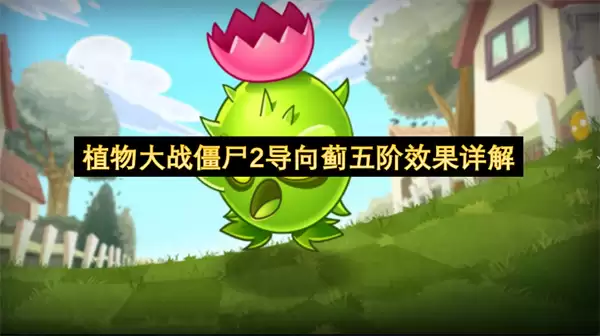 植物大战僵尸2导向蓟五阶效果详细说明