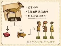村落人生服饰篇生存指南