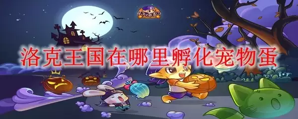 洛克王国在哪里孵化宠物蛋
