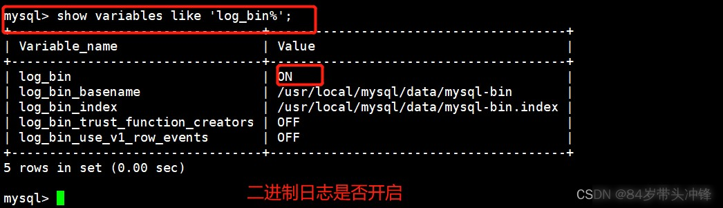 MySQL数据库备份问题及处理实用指南