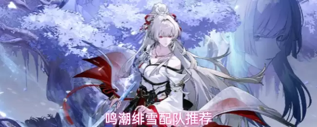鸣潮绯雪配队推荐