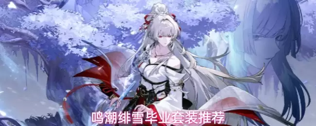 鸣潮绯雪毕业套装推荐