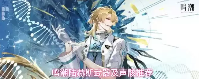 鸣潮陆赫斯武器及声骸推荐