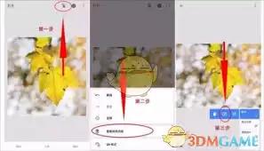 绿叶修图如何进行局部修图