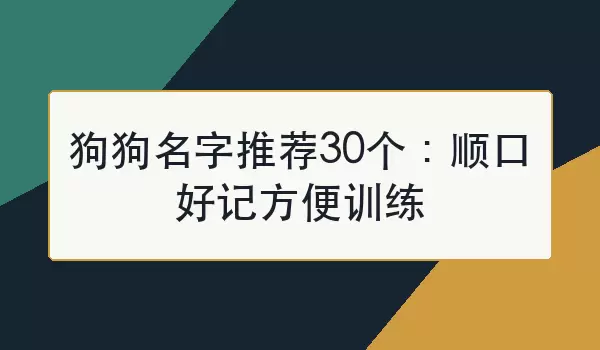 狗狗名字推荐30个：顺口好记方便训练