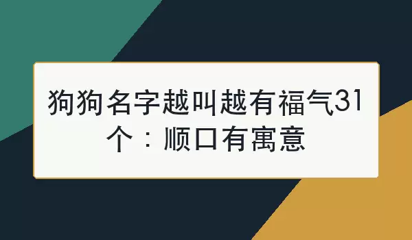 狗狗名字越叫越有福气31个：顺口有寓意