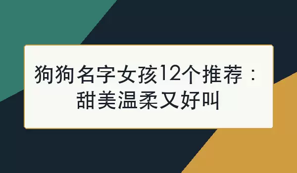 狗狗名字女孩12个推荐：甜美温柔又好叫