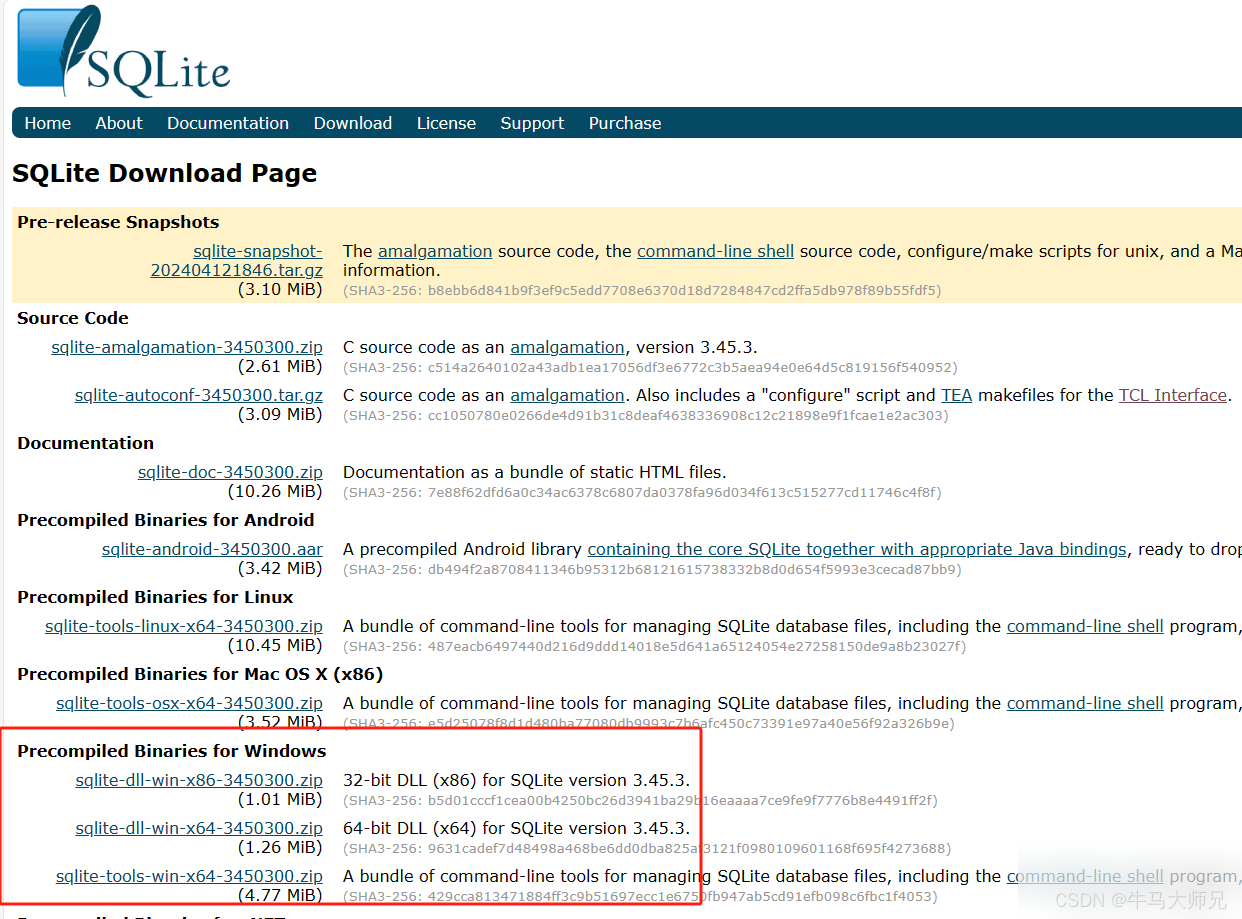 嵌入式数据库SQLite 3配置使用讲解实用指南