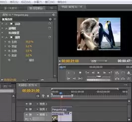Premiere如何制作胶片式滑动特效