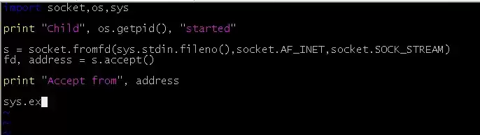 【原创】如何在vim中使用tab进行python代码补全