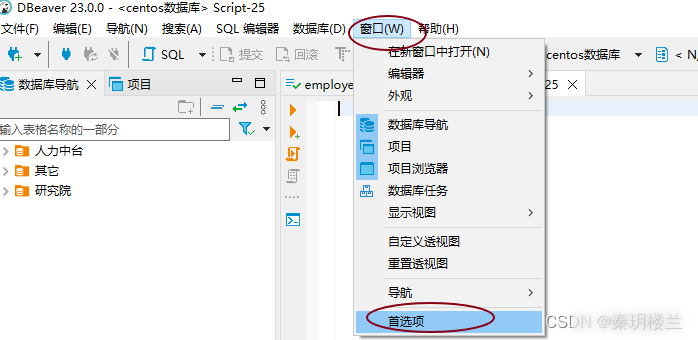 如何找回存储在DBeaver连接中数据库密码实用指南