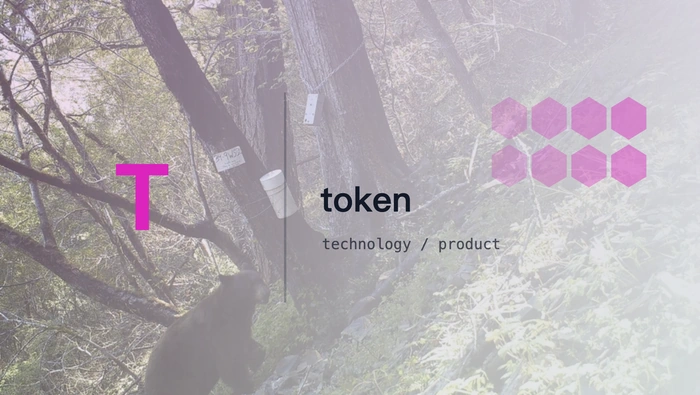 开源 Coding Agent 如何控制并行任务的 Token 成本？