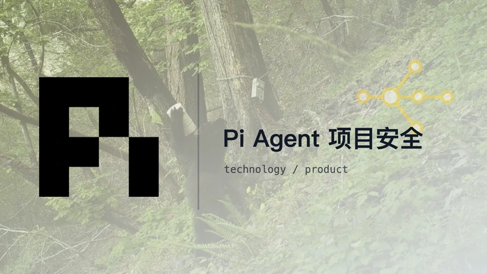 Pi Agent 的项目权限与提示词注入风险有哪些？